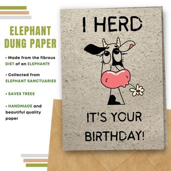 Fait à la main respectueux de l'environnement | Lot de 5 cartes d'anniversaire en papier à planter ou en matériau organique Herd It's Your Birhday 7