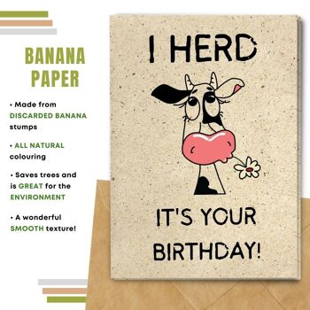 Fait à la main respectueux de l'environnement | Lot de 5 cartes d'anniversaire en papier à planter ou en matériau organique Herd It's Your Birhday 8