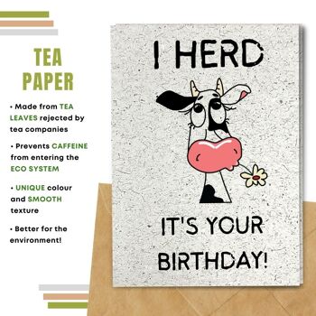 Fait à la main respectueux de l'environnement | Lot de 5 cartes d'anniversaire en papier à planter ou en matériau organique Herd It's Your Birhday 11