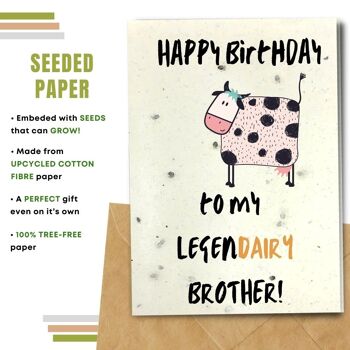 Fait à la main respectueux de l'environnement | Graines plantables ou cartes d'anniversaire en papier de matière organique Legendairy Brother Single Card 2