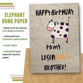 Fait à la main respectueux de l'environnement | Graines plantables ou cartes d'anniversaire en papier de matière organique Legendairy Brother Single Card 16