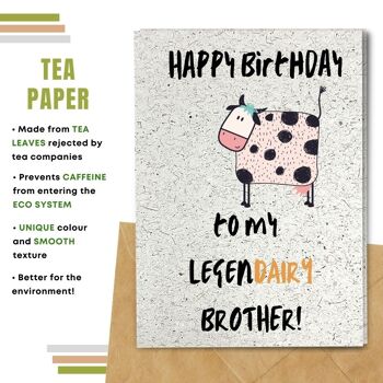 Fait à la main respectueux de l'environnement | Graines plantables ou cartes d'anniversaire en papier de matière organique Legendairy Brother Single Card 18