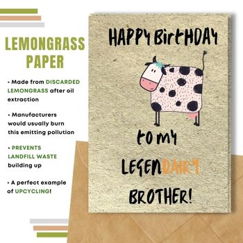 Fait à la main respectueux de l'environnement | Graines plantables ou cartes d'anniversaire en papier de matière organique Legendairy Brother Single Card 20