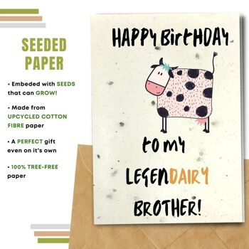 Fait à la main respectueux de l'environnement | Graines plantables ou cartes d'anniversaire en papier de matière organique Legendairy Brother Lot de 5 2