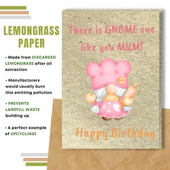 Fait à la main respectueux de l'environnement | Lot de 8 cartes d'anniversaire en papier pour graines à planter ou matière organique Mother Gnome 10