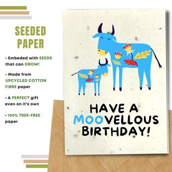 Fait à la main respectueux de l'environnement | Lot de 5 cartes d'anniversaire en papier pour graines à planter ou matériau organique Moovellous Birthday 2