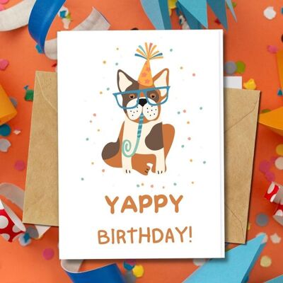 Handmade Eco Friendly | Plantable Seed or Organic Material Paper Birthday Cards Yappy Birthday Pack of 8