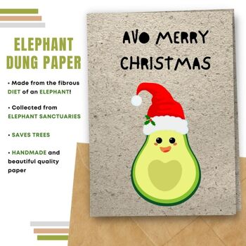 Fait à la main respectueux de l'environnement | Lot de 8 cartes de Noël en papier à planter ou en matériau organique Avo Merry Christmas 6