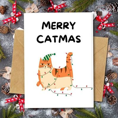 Handmade Eco Friendly | Plantable Seed or Organic Material Paper Christmas Cards Catmas Single Card