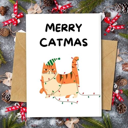 Handmade Eco Friendly | Plantable Seed or Organic Material Paper Christmas Cards Catmas Pack of 5