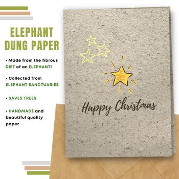 Fait à la main respectueux de l'environnement | Graines plantables ou papier de matière organique Cartes de Noël Shiny Star Single Card 7