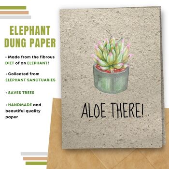 Fait à la main respectueux de l'environnement | Graines plantables ou papier de matière organique Cartes d'amour Aloe There Single Card 9