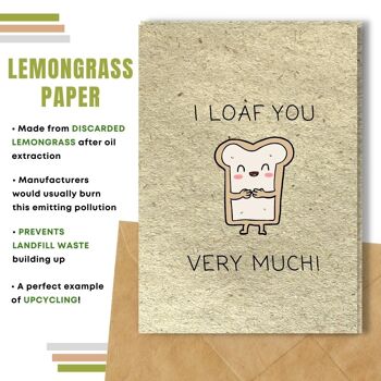 Fait à la main respectueux de l'environnement | Graines plantables ou papier de matière organique Cartes d'amour I Loaf You Single Card 8