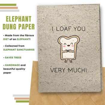 Fait à la main respectueux de l'environnement | Graines plantables ou papier de matière organique Cartes d'amour I Loaf You Single Card 10