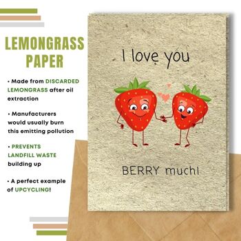 Fait à la main respectueux de l'environnement | Graines plantables ou papier de matière organique Cartes d'amour Love you Berry Much Single Card 10