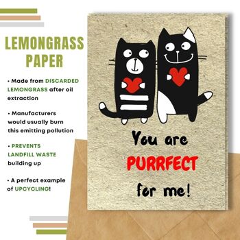 Fait à la main respectueux de l'environnement | Graines plantables ou papier de matière organique Love Cards Purrfect for Me Single Card 9