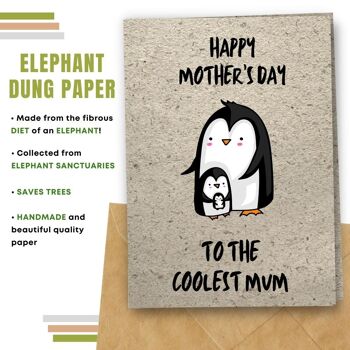 Fait à la main respectueux de l'environnement | Lot de 5 cartes de fête des mères en papier à planter ou en matériau organique 7
