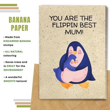 Fait à la main respectueux de l'environnement | Graines à planter ou papier de matière organique Cartes de fête des mères Flippin Best Mum Lot de 5 6