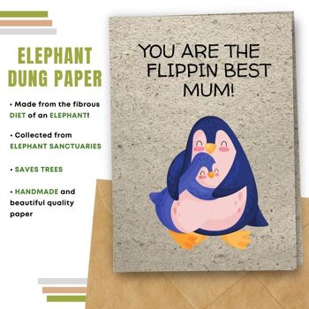 Fait à la main respectueux de l'environnement | Graines à planter ou papier de matière organique Cartes de fête des mères Flippin Best Mum Lot de 5 9