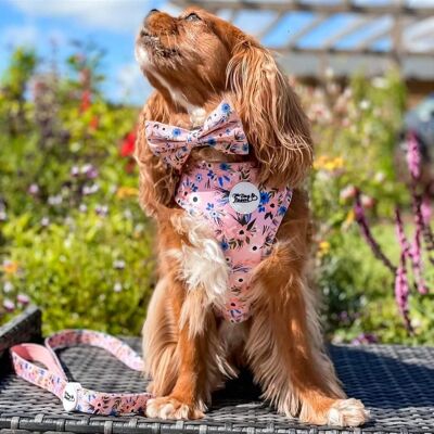 Harnais ajustable pour chien - Flower Child