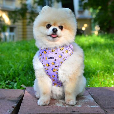 Adjustable Dog Harness - Don't Worry, Bee Happy