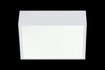 ACRI plafonnier salle de bain 2D, blanc