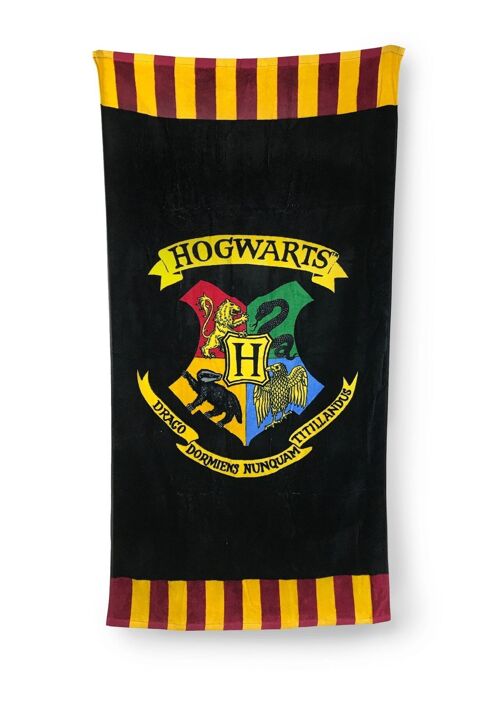 Hogwarts Harry Potter Towel
