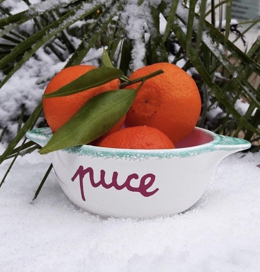 Ciotola bretone rivisitata - PUCE