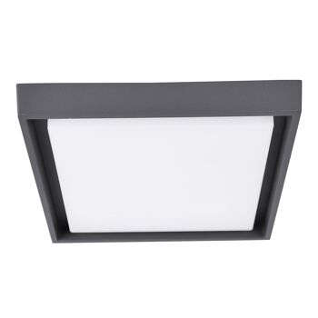 Applique d'extérieur LED IP54 "Mio" s:34cm I 2