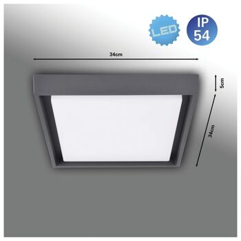 Applique d'extérieur LED IP54 "Mio" s:34cm I 3