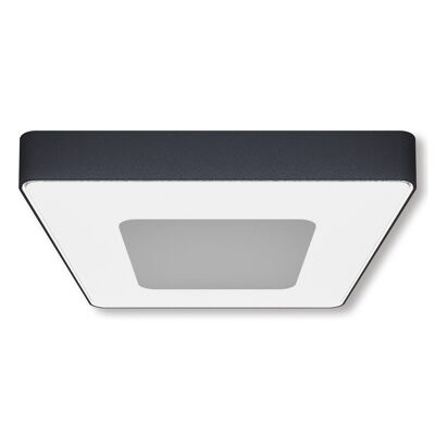 LED outdoor wall light IP54 "Mio" s:27cm with motion detector