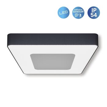 Applique d'extérieur LED IP54 "Mio" s:27cm avec détecteur de mouvement 3