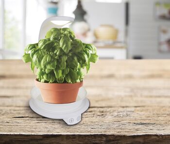 Lampe de table LED plante h:24cm 5