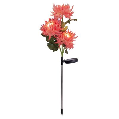 Picchetto solare a LED "fiore" h:79cm rosa