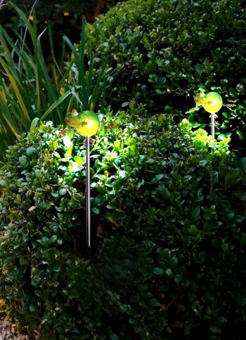 Piquet solaire LED "Grenouille" 5