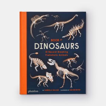 Livre des dinosaures : 10 animaux préhistoriques qui battent tous les records 9