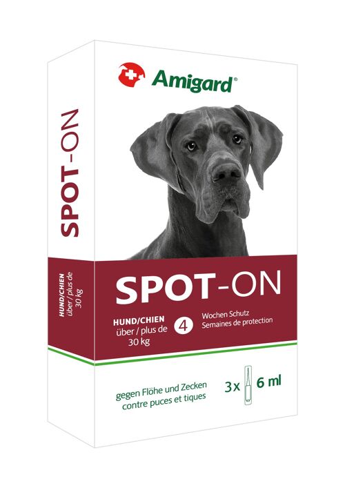 Amigard Spot-on Hunde >30 Kg Schachtel 3 x 6 ml