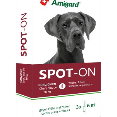 Amigard Spot-on Hunde >30 Kg Schachtel 3 x 6 ml