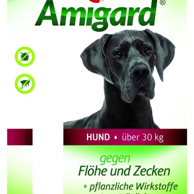 Amigard spot-on dogs 30 kg, tarjeta única 1 x 6 ml