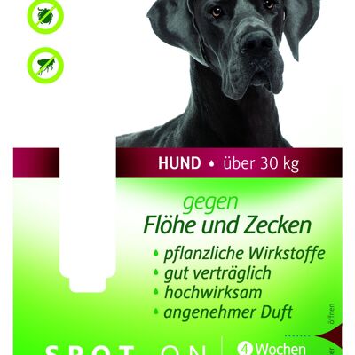 Amigard spot-on dogs 30 kg, tarjeta única 1 x 6 ml