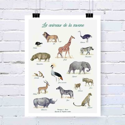 Affiche Les animaux de la savane