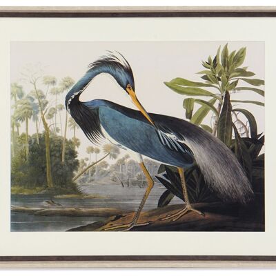 QUADRO MDF VETRO 88X3,5X70 CORNICE BLUE BIRD CU173858