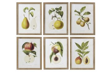 IMAGE EN VERRE MDF 45X2X60 FRUITS 6 ASSORTIS. CU185206 1