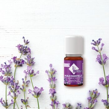 Lavender essential oil 10ml 2