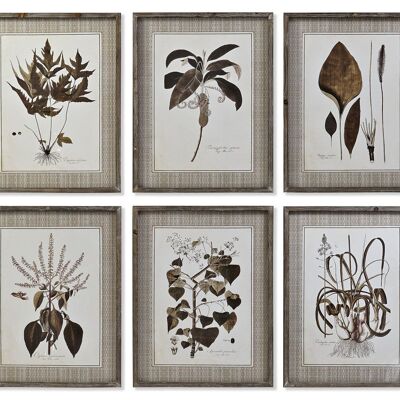 QUADRO IN VETRO MDF 55X2,5X70 BOTANICO 6 ASSORTIMENTI. CU187481