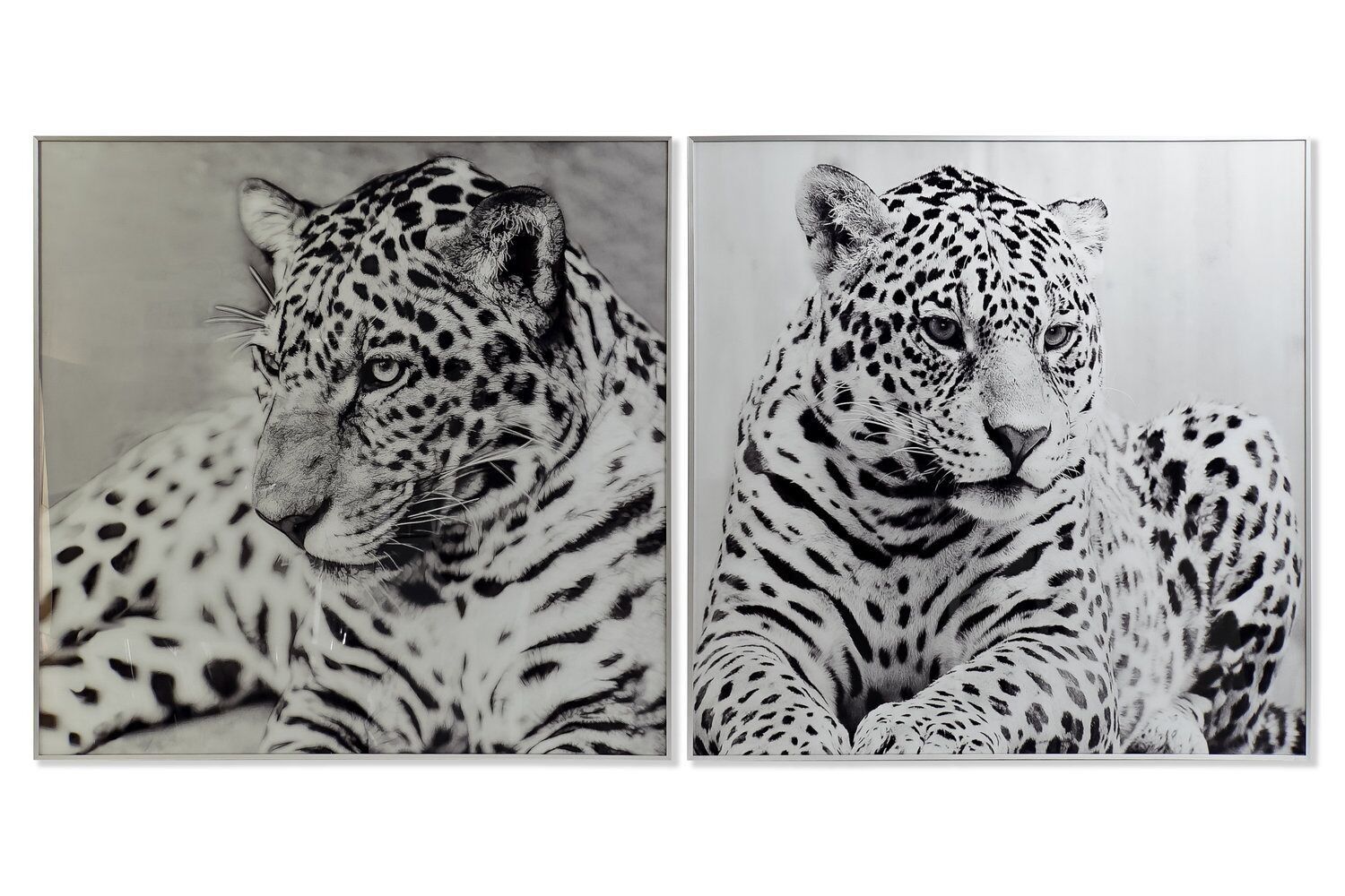 QUADRO IN VETRO 100X2,5X100 LEOPARDO 2 ASSORTIMENTI. CU193080