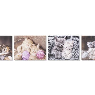 MDF CANVAS PICTURE 50X1,8X40 KITTENS 4 ASSORTMENTS. CU193729