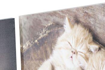 TABLEAU SUR TOILE MDF 50X1,8X40 CHATONS 4 ASSORTIMENTS. CU193729 2