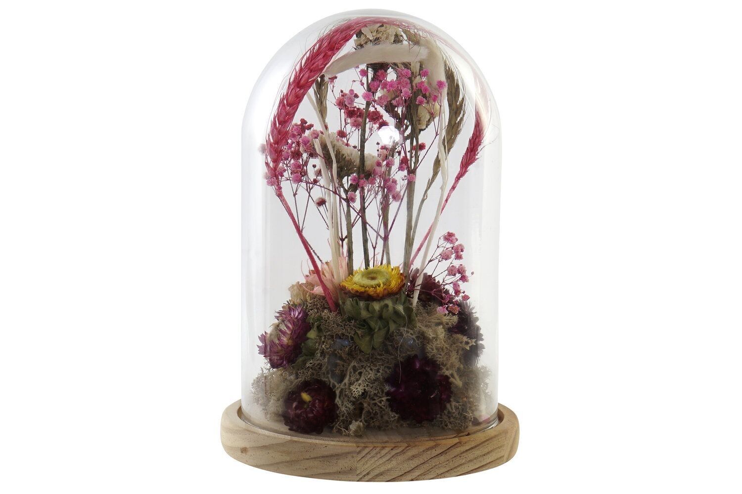 DECORAZIONE FIORI SECCHI IN VETRO 17X17X26 FIORI DH180480