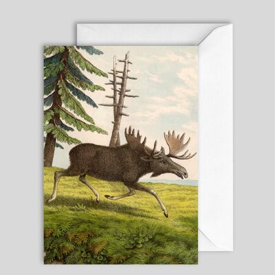 Greeting Card 7603